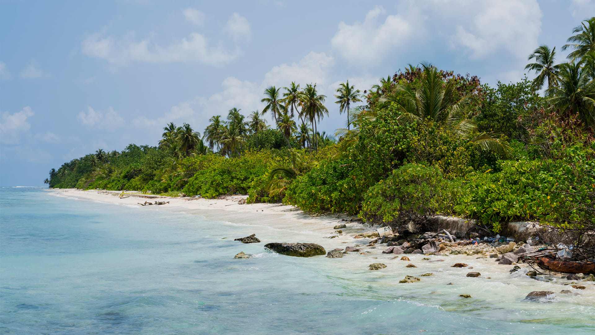 Nature Experience #1